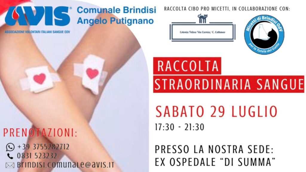 Emergenza sangue estiva: Avis Brindisi organizza una raccolta straordinaria