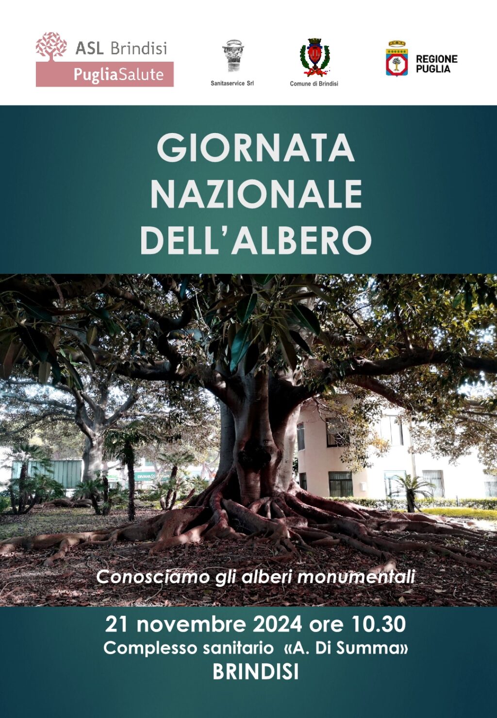 Locandina Giornata nazionale dell'albero Brindisi1