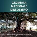 Giornata nazionale dell’albero, iniziativa a Brindisi nel Complesso sanitario in Piazza Di Summa