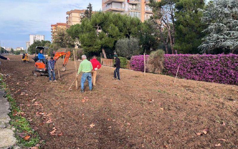 Bari, un bosco urbano in memoria delle vittime del COVID mentre in Puglia si registrano 22 decessi in 7 giorni